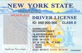 california driver s license editable psd template download