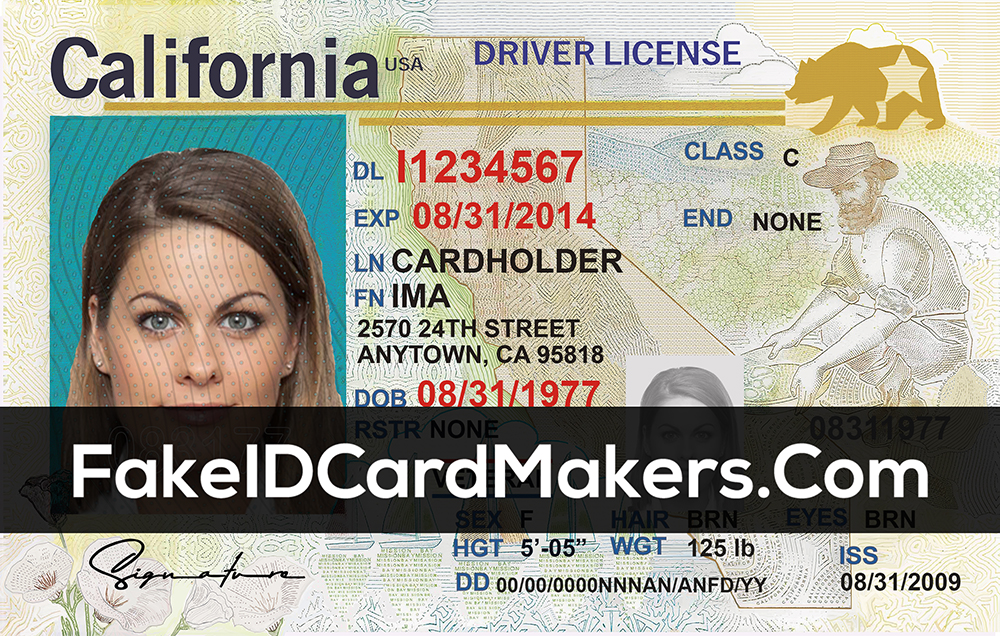 california driver s license editable psd template download